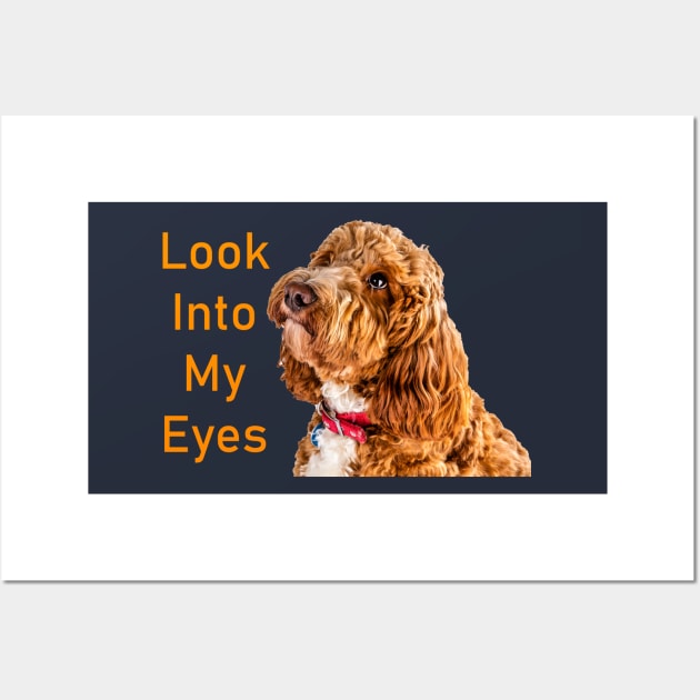Look Into My Eyes Wall Art by tommysphotos